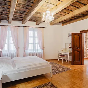 Apartamento U Cerneho Medveda- At The Black Bear, Praga